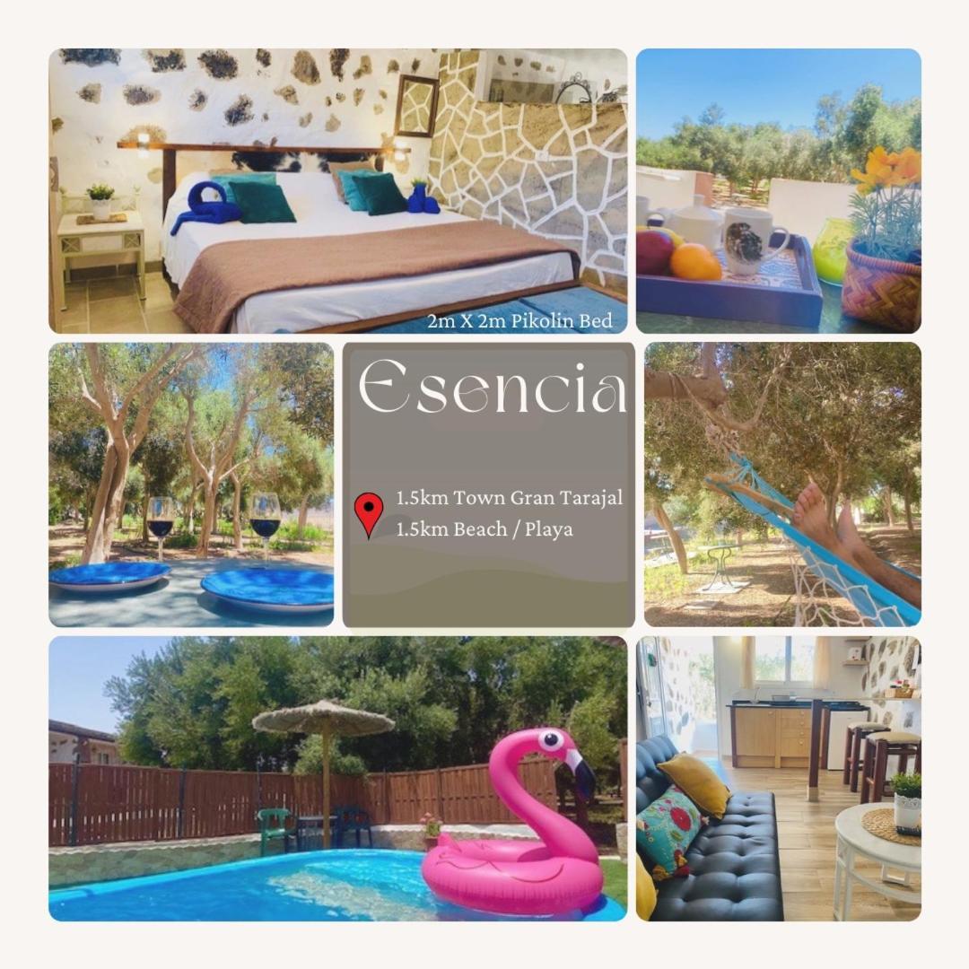 Bungalow Alma #Only Adults El Charco  Exterior foto